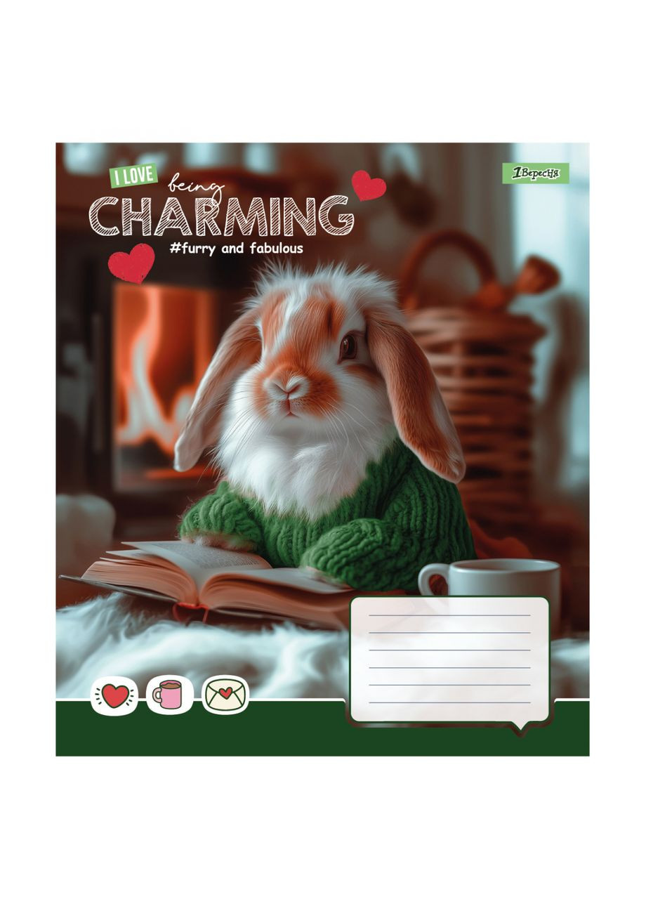 Тетрадь ученическая Charming 1В 768186 18 л. Разноцветный shop (4823092297907) 1B (363299349)