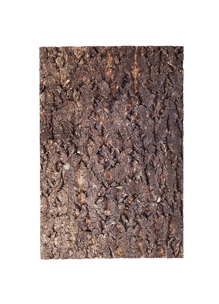 Фон із кори Big Tree Background 45x60 см (NCT05) для тераріуму Repti-Zoo (368720304)