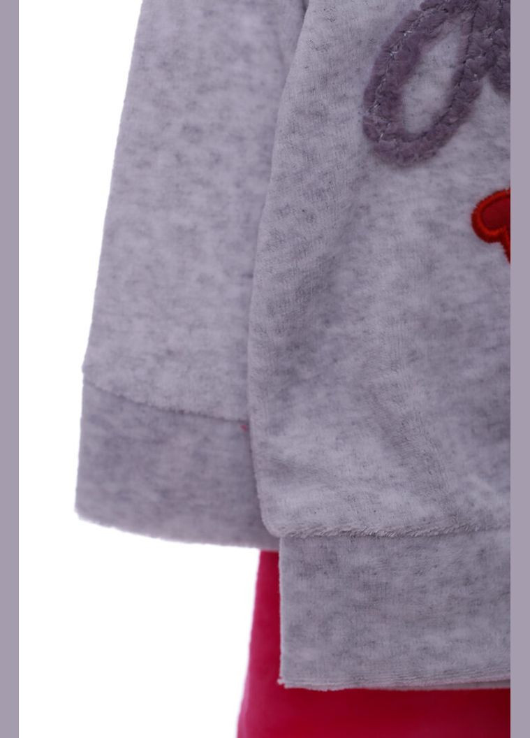 Сірий демісезонний костюм велюровий для дівчинки посмішка сірий 80 см (44231) BABYKROHA