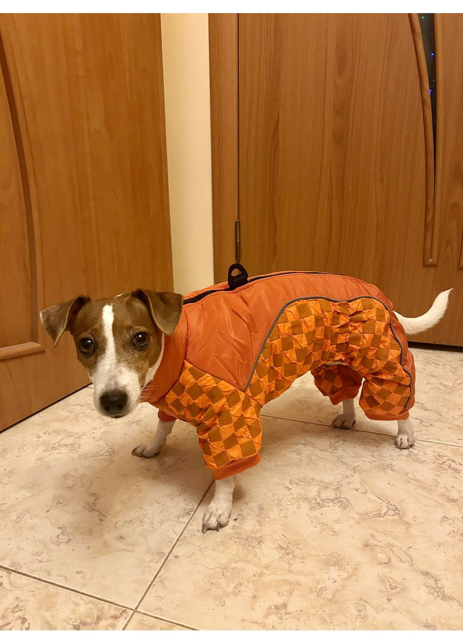 Зимняя одежда для собак, Комбинезон для собак М No Brand (362136286)