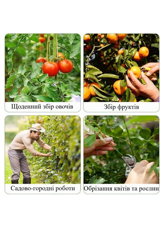 Секатор на палець для пасинкування томатів, збирання овочів та ягід, з металевим лезом і пружиною червоний No Brand (371915004)