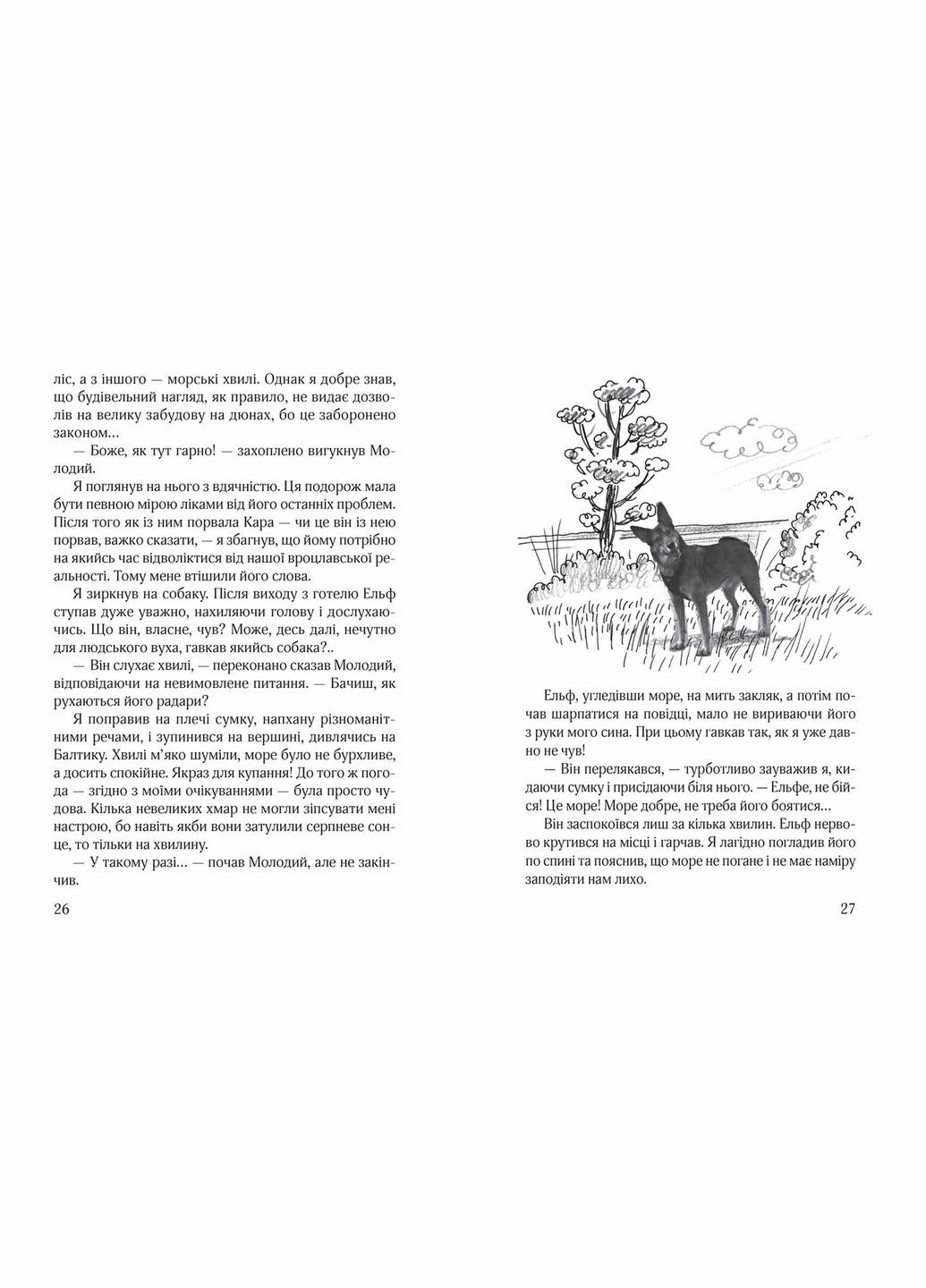Книга Ельф Всемогутній Книга 3 - Марцін Палаш (9789664296035) Видавничий дім Школа (316124311)