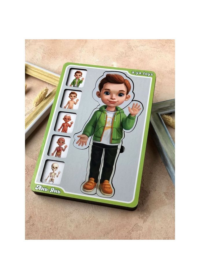 Деревянный пазлвкладыш "Анатомия человека – мальчик" (ПСФ026) PSF026 телосложение Ubumblebees (302385526)