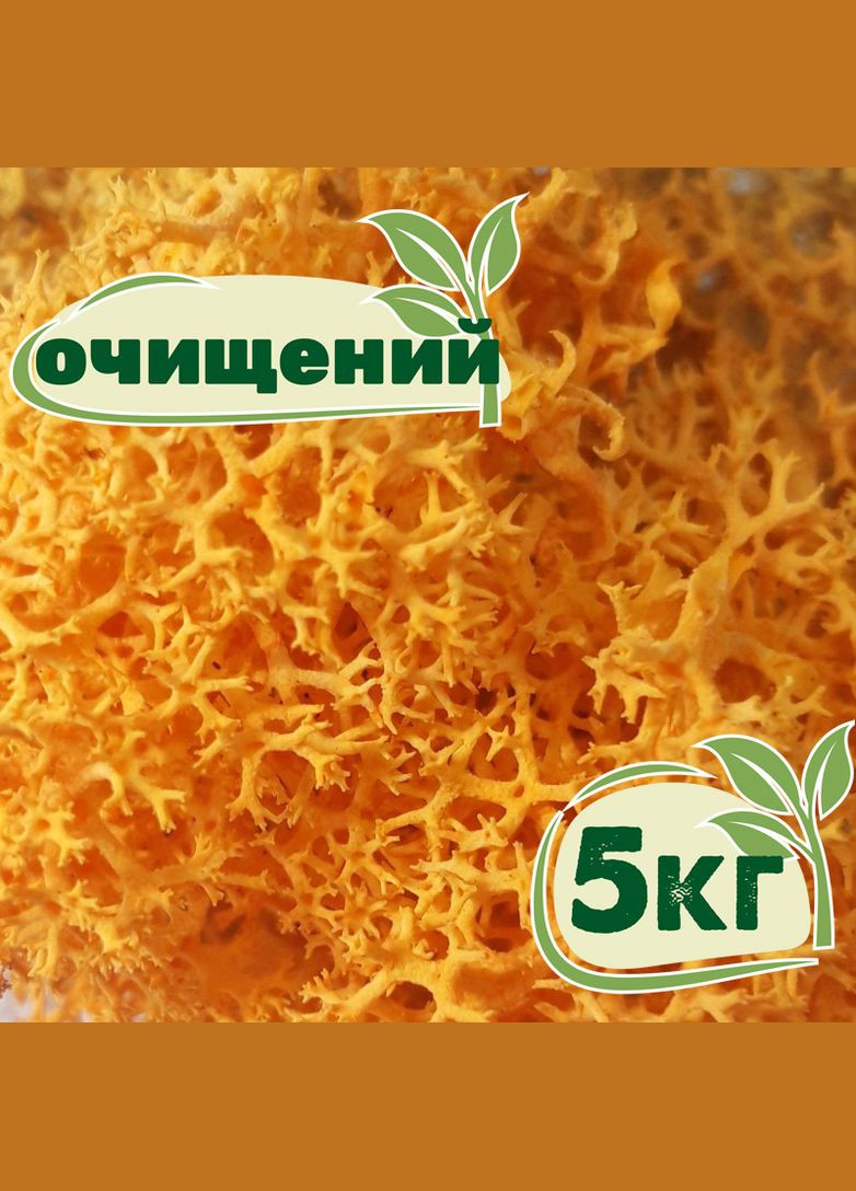 Очищенный стабилизированный мох ягель Желтый осенний 5 кг Nordic moss (276401175)