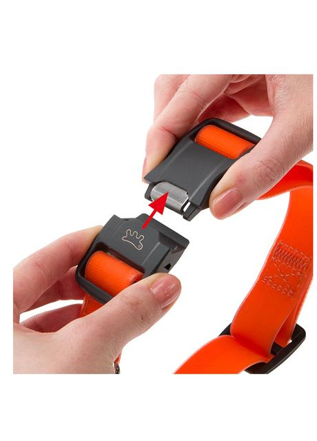 Ошейник для собак Club Reflex C15/44 красный 1.5х30-44 см 75250222 Ferplast (323224572)