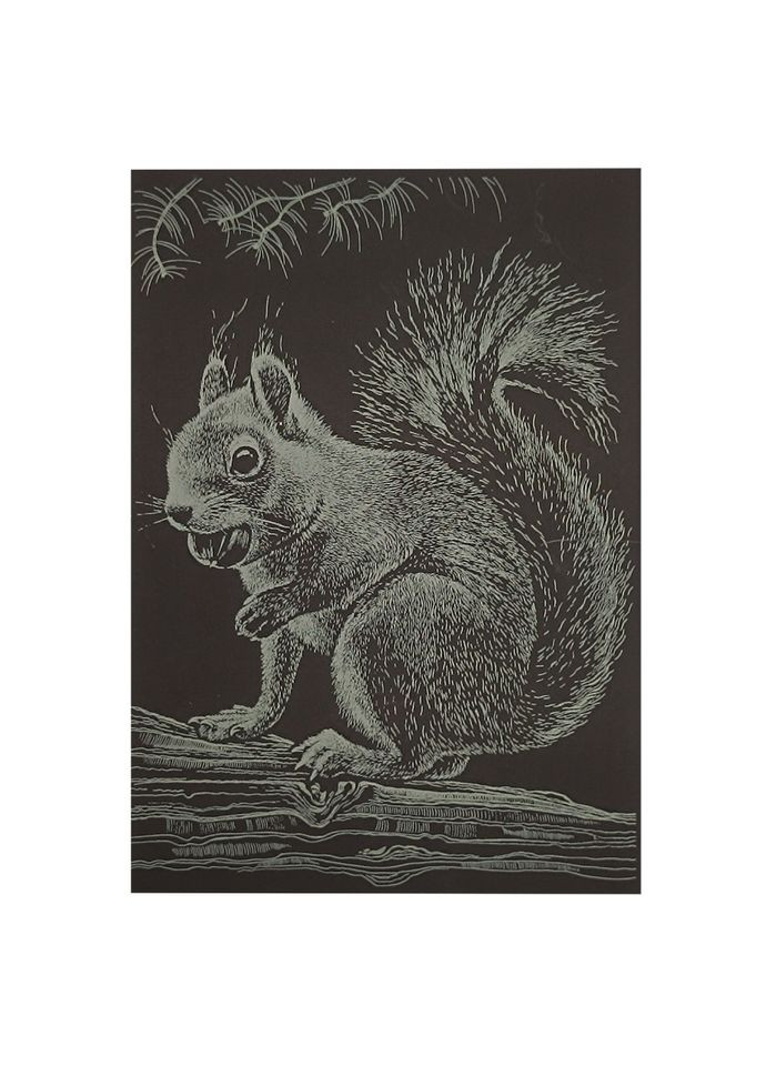 Гравюра А5 "Белочка" ГрА5з-13 эконом вариант в пакете 21 х 14,8 см Danko Toys (364530521)