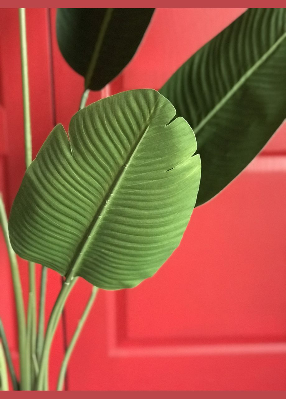 Штучне бананове дерево 160 см у горщику – декоративна рослина No Brand (328908659)