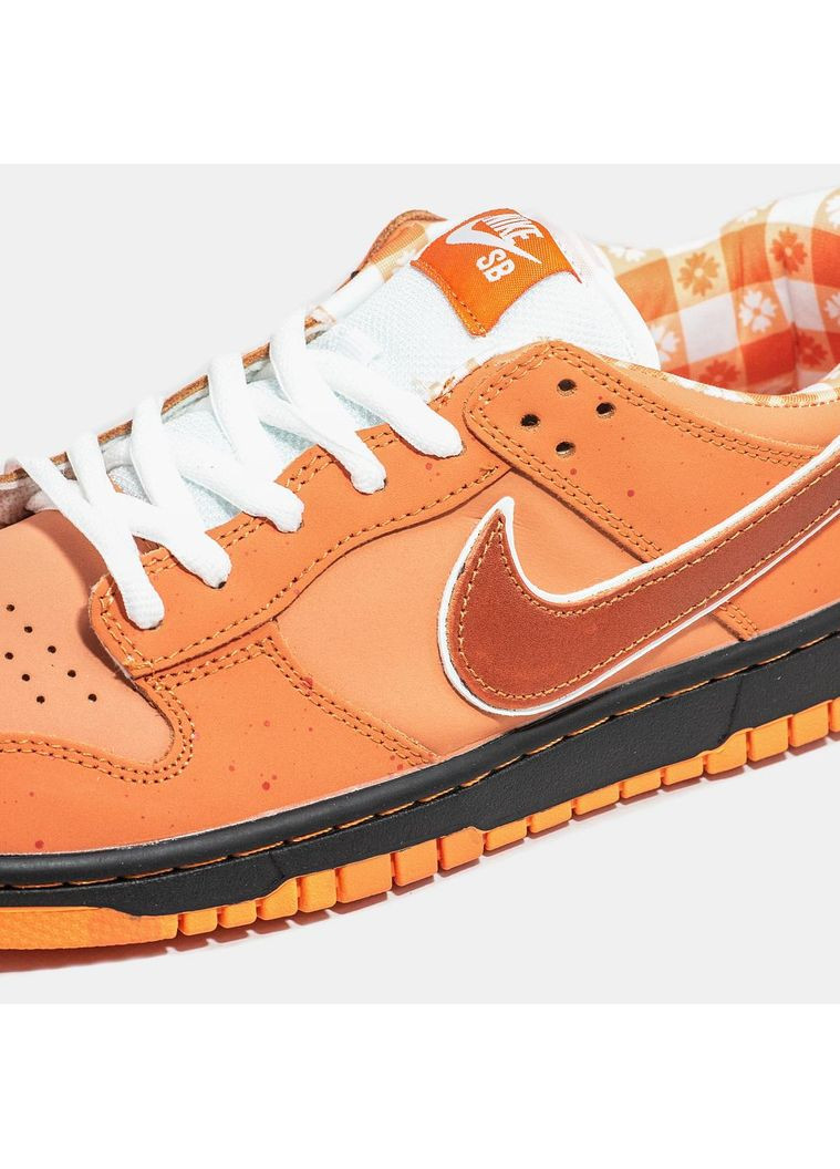 КРОСІВКИ ЖІНОЧІ NIKE CONCEPTS X SB DUNK LOW ORANGE LOBSTER НАЙК No Brand білі демісезони (367167925)