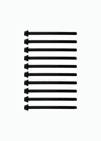 Болт головки блоку циліндрів Victor Reinz (366173165)