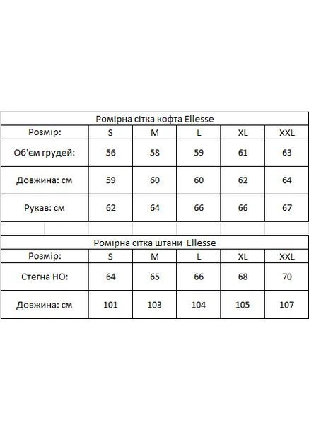 Костюм Ellesse: кофта-штани 2 пары носков в подарок! No Brand (401292991)