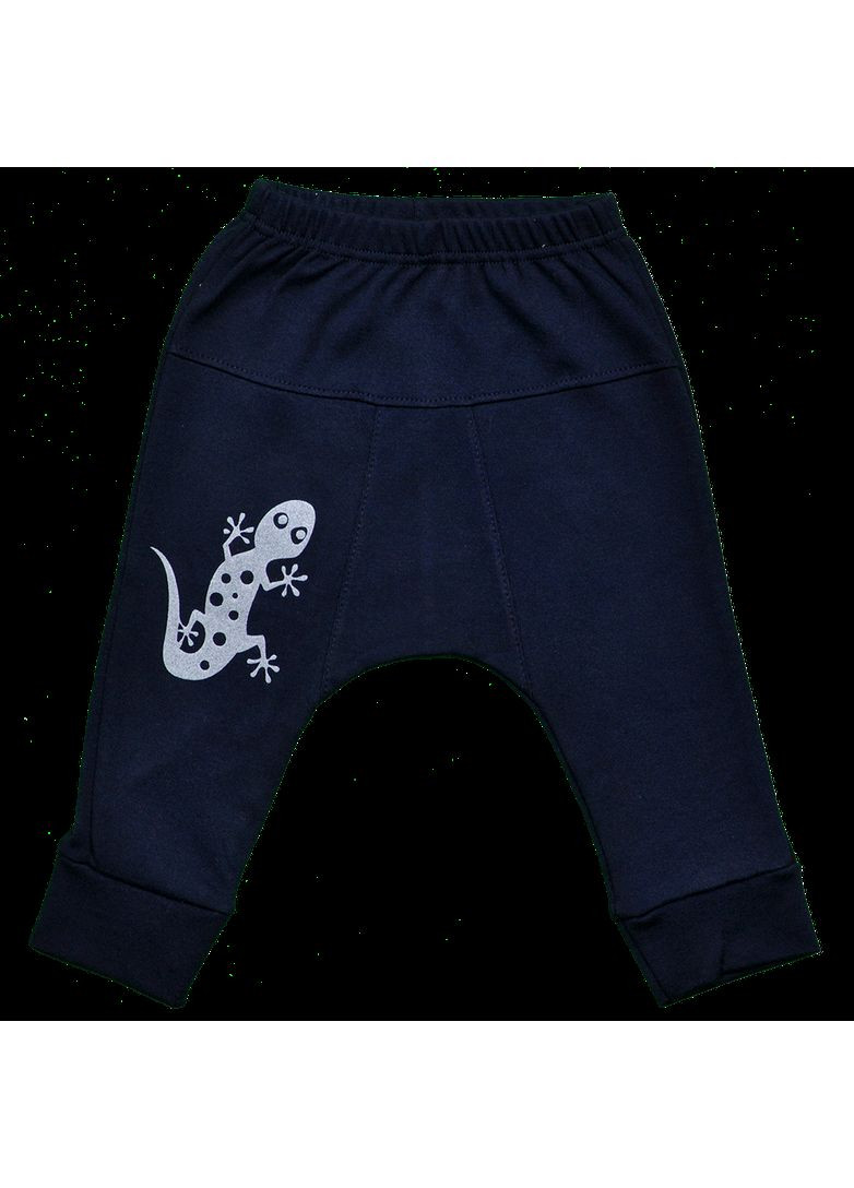 Трикотажні дитячі сірі штани із принтом Геккон Сірий dexter's (279760780)