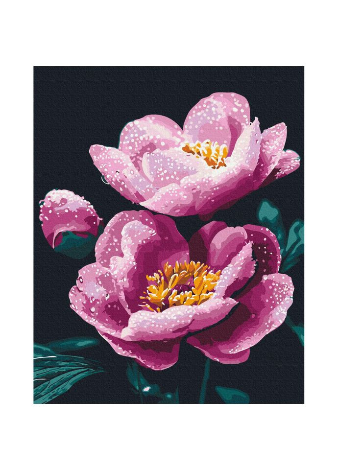 Картина за номерами "Ранкова свіжість" BS54155, 40х50 см Brushme (368824558)