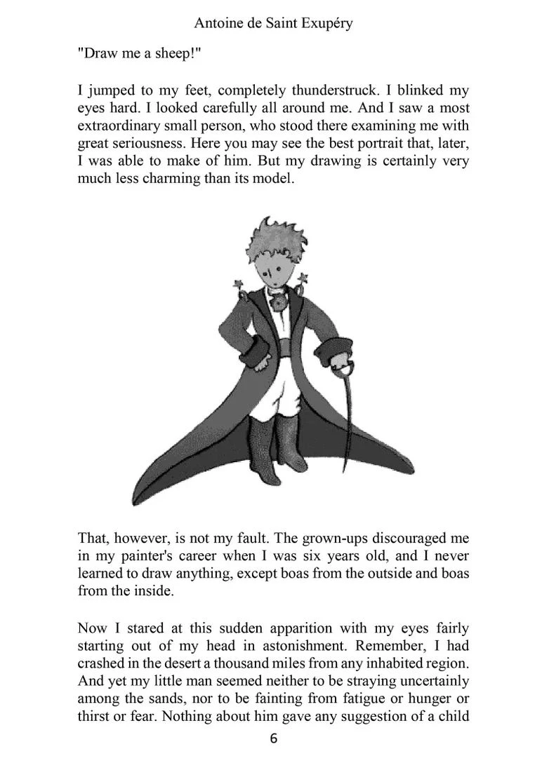 The Little Prince Pan MacMillan (393144702)
