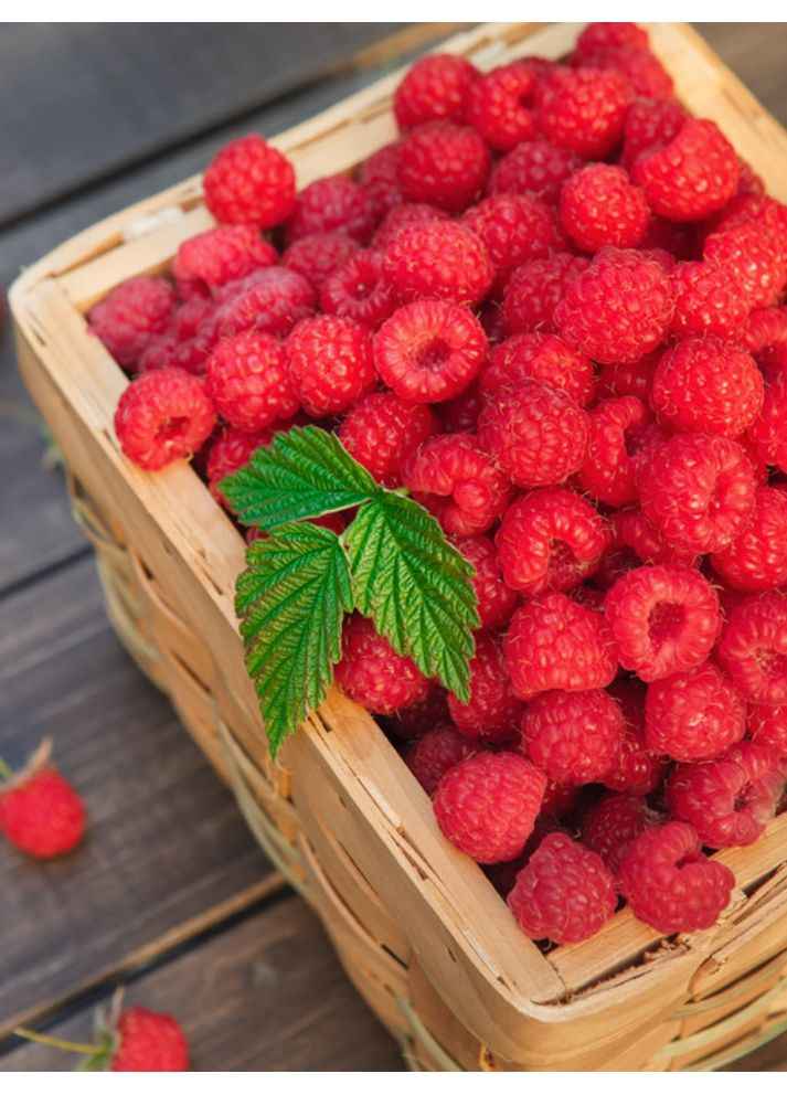 Малина Карамелька No Brand (364535989)