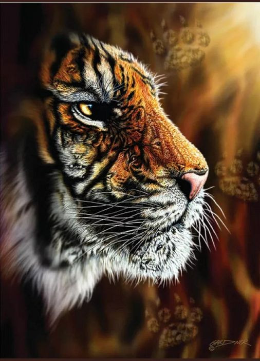 Пазл Дикий тигр 1000 елементів Anatolian (342717608)