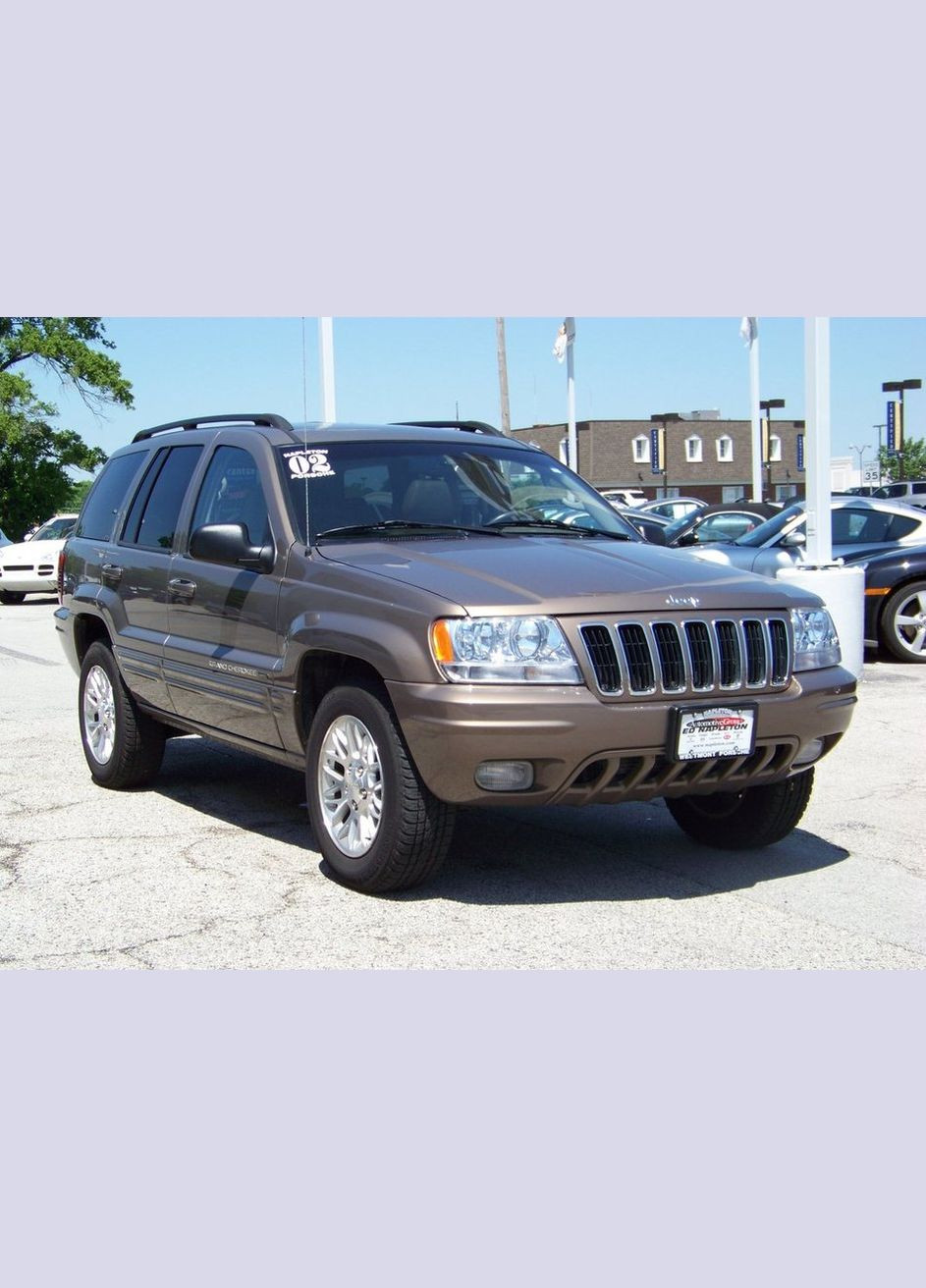 Автомобильная краска для Dodge PU2 (YU2) WOODLAND BROWN Густая краска 200 мл Multichem (322460721)