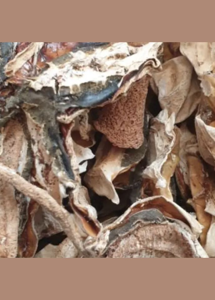 100 г гриби веселка сушені - свіжий урожай No Brand (346286926)