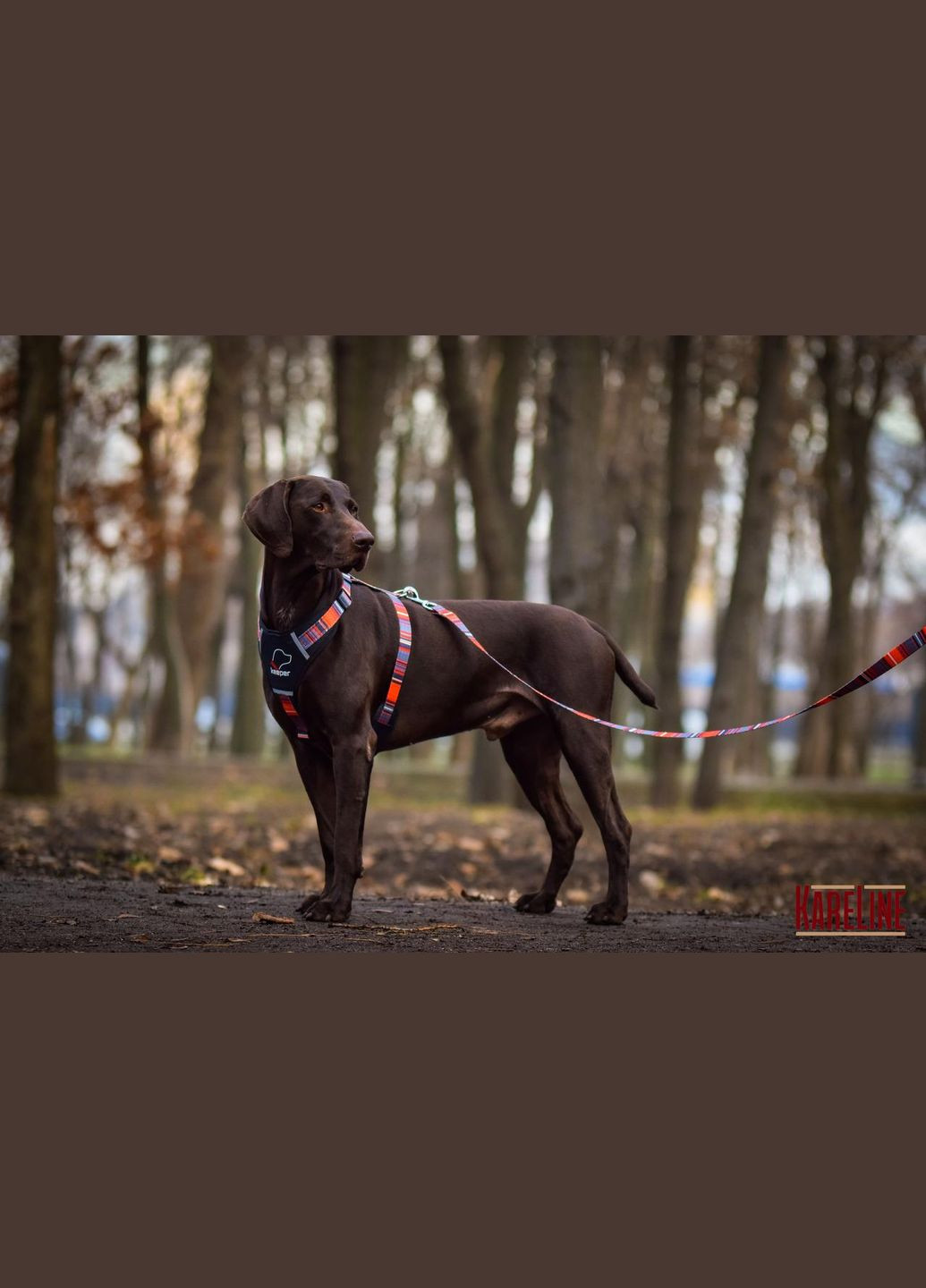 Поводок из нейлона с узором "LINE" 20 мм 1800 мм Kareline (339075025)