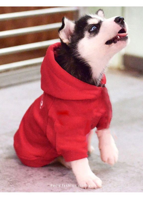 Кофта для собак с капишоном No Brand (362571922)