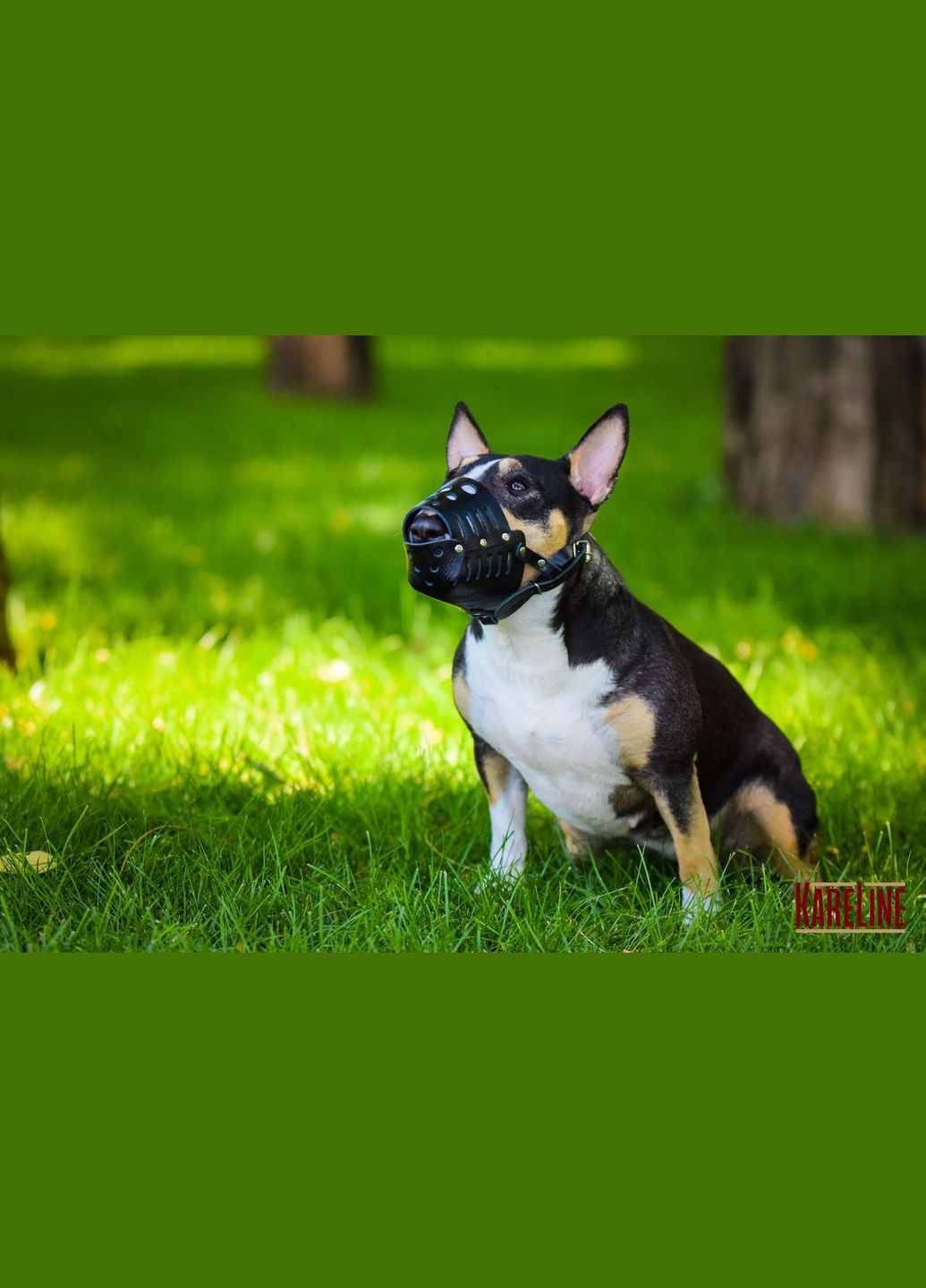 Намордник из натуральной кожи для малых и средних пород собак размер XL Kareline (339075303)