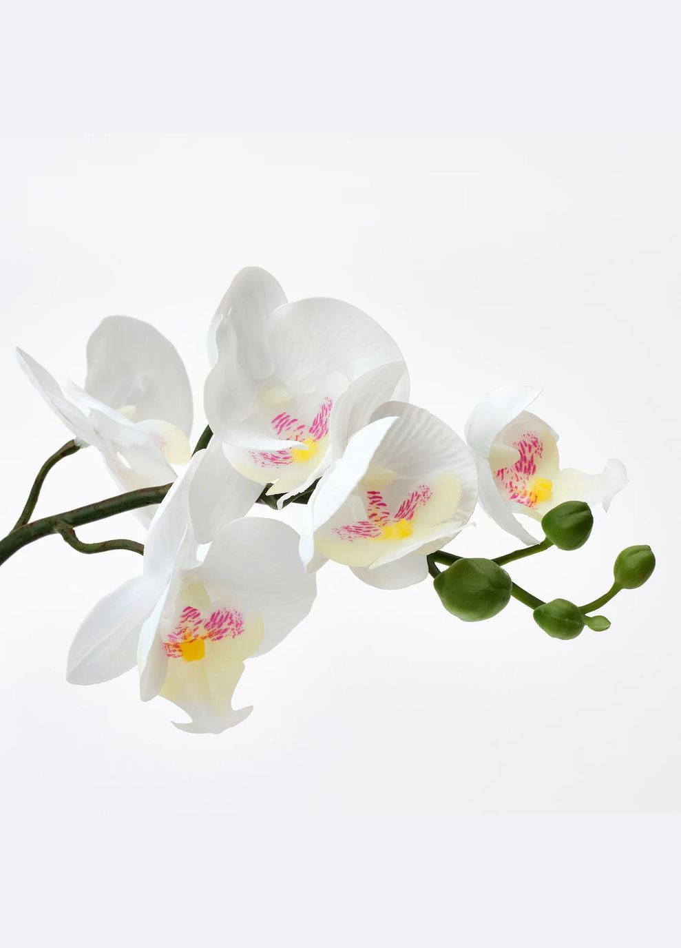 Штучна рослина в горщику ІКЕА FEJKA 9 см Орхідея біла (00285908) IKEA (268023986)
