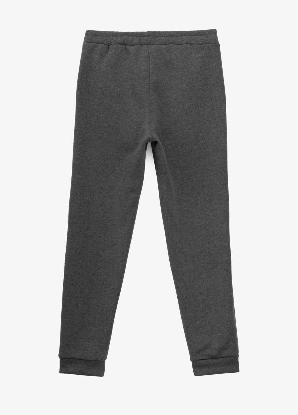 Темно-серые спортивные зимние брюки Demos