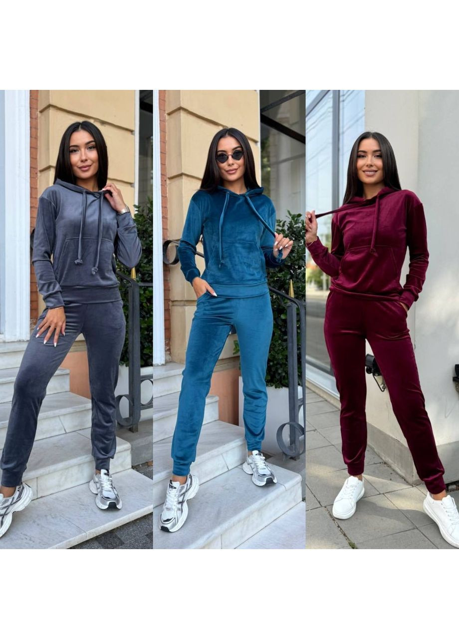 Костюм велюр спорт,Турция,штаны и кофта Україна (349360087)