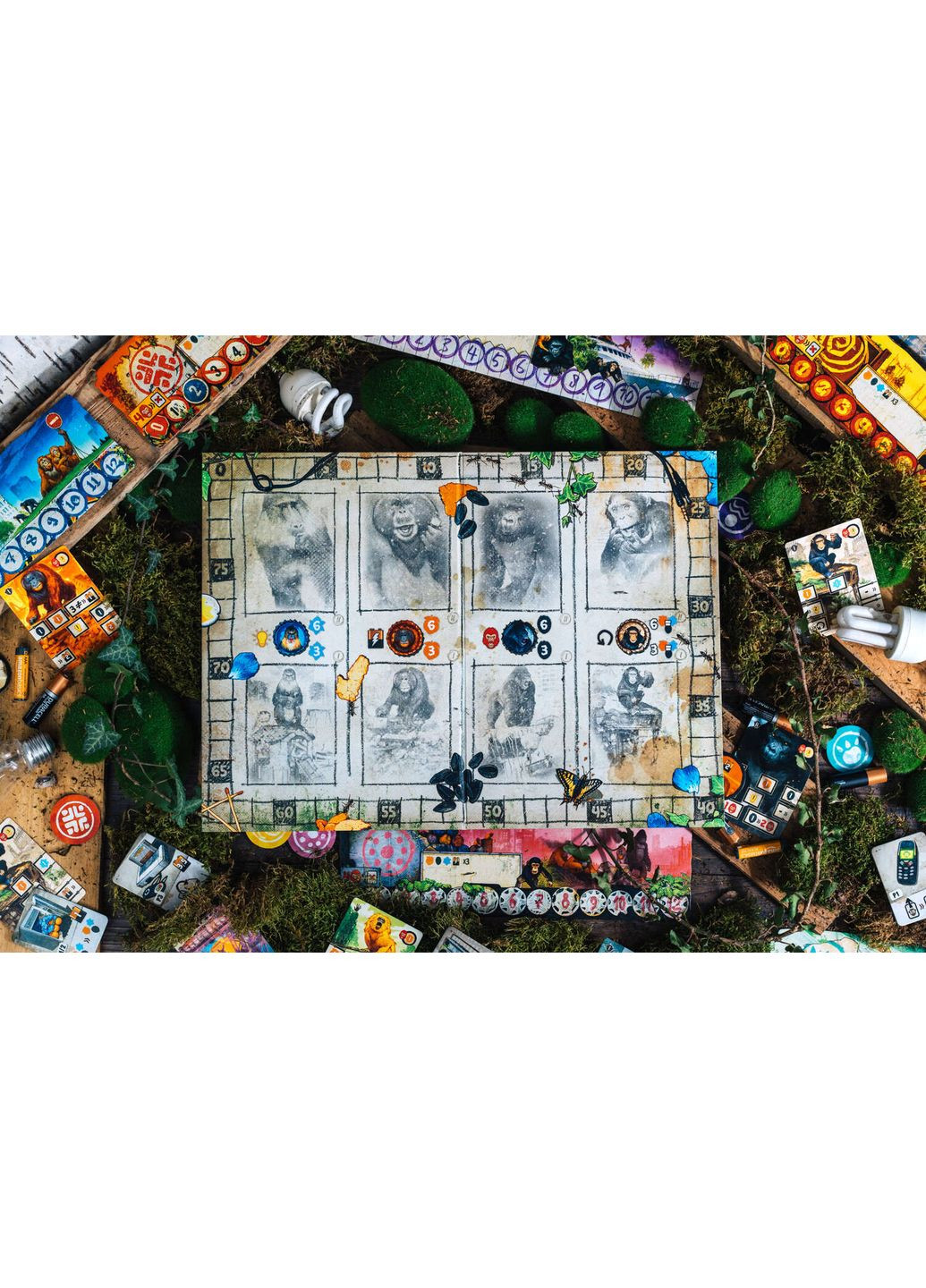 Настільна гра Після нас (After Us) WoodCat (371877598)