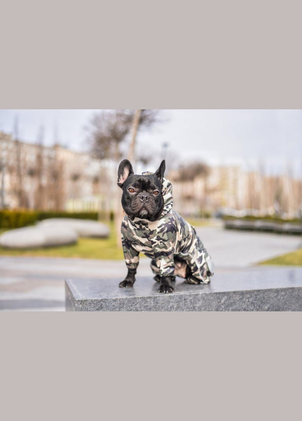 Комбінезон для собак Tactic Winter, (*) SmartPet (323153215)