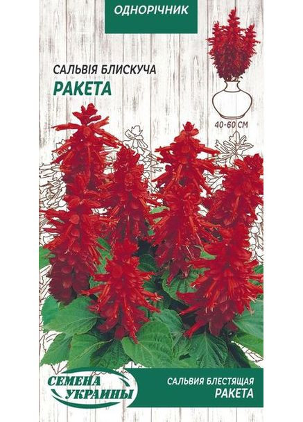 Семена цветы Сальвия Ракета 0,2г Насіння України (356120223)