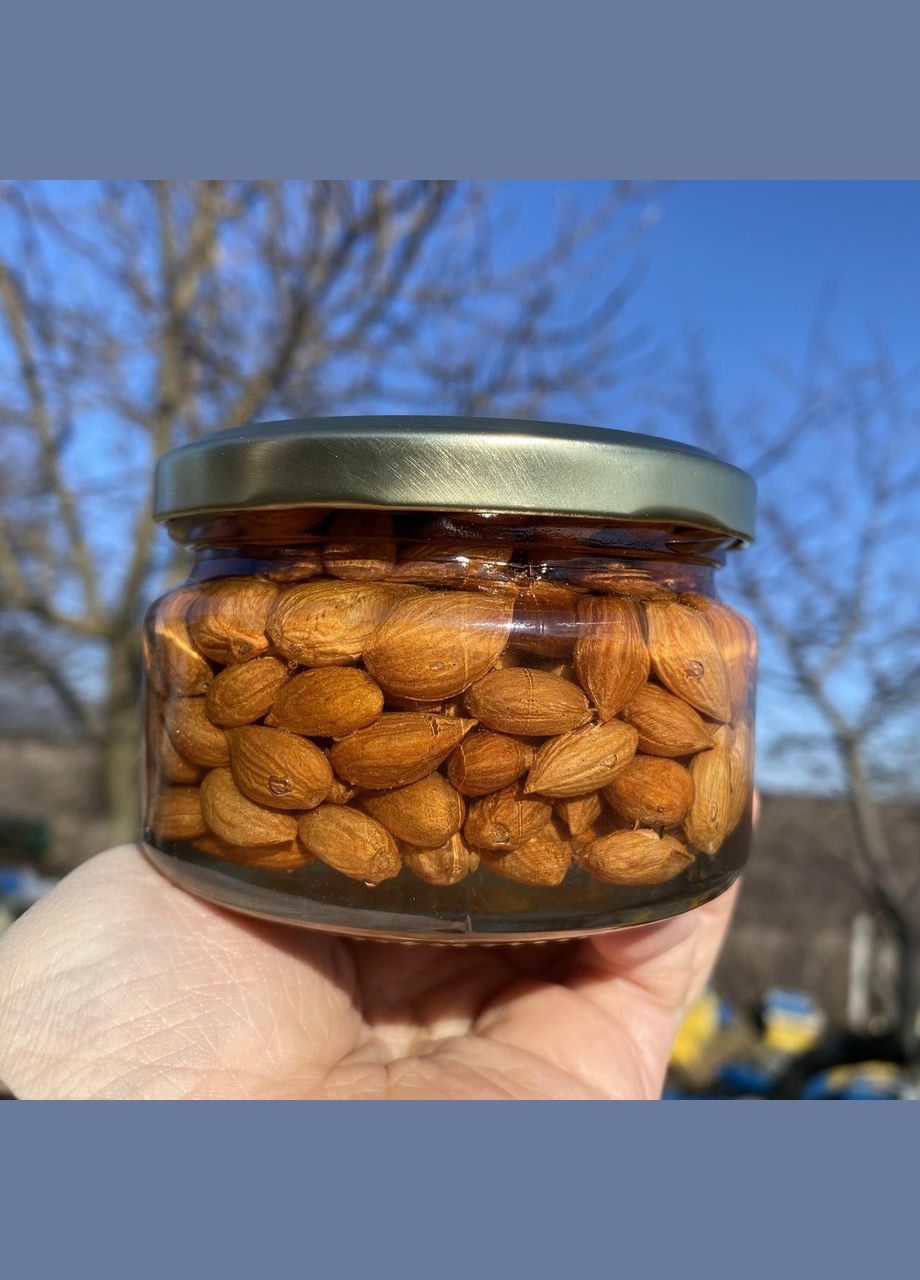 Ядра кісточки абрикоса у меду акації 0,25 л (270 грам) МЕД ПОШТОЮ (322148941)