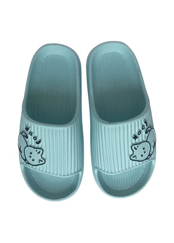 Шльопанці Sports (295902212)