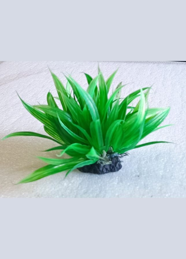 Растение пластиковое водоросли JAPANESE1/1 искусственное Декорация аквариумная до 8см A8011306 Croci (292569177)