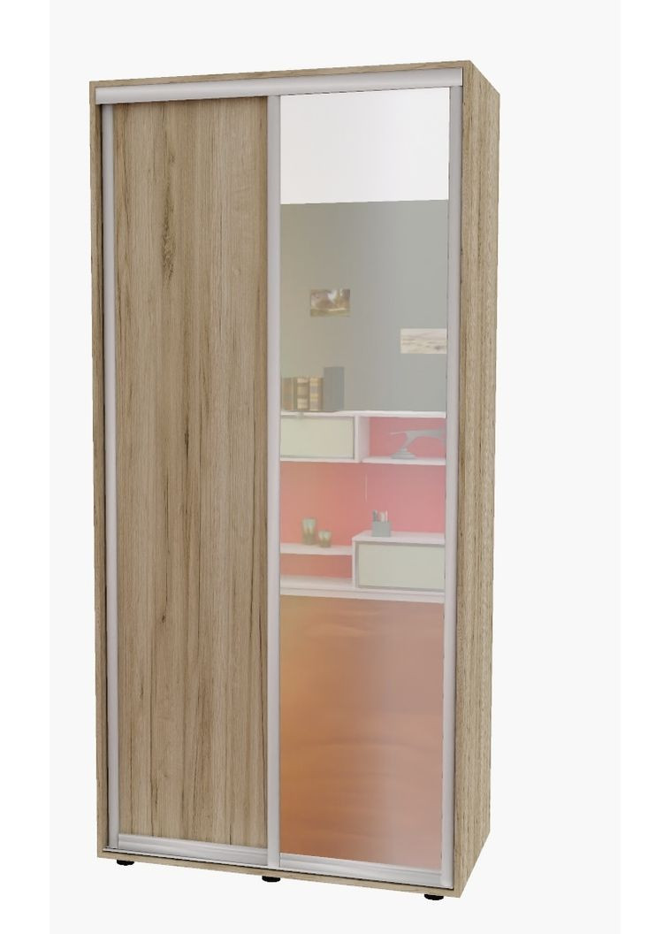 Шафа-купе дводверна 110*60*230 см Дуб крафт сірий 2 двері ДСП + Дзеркало Алекса (360448839)