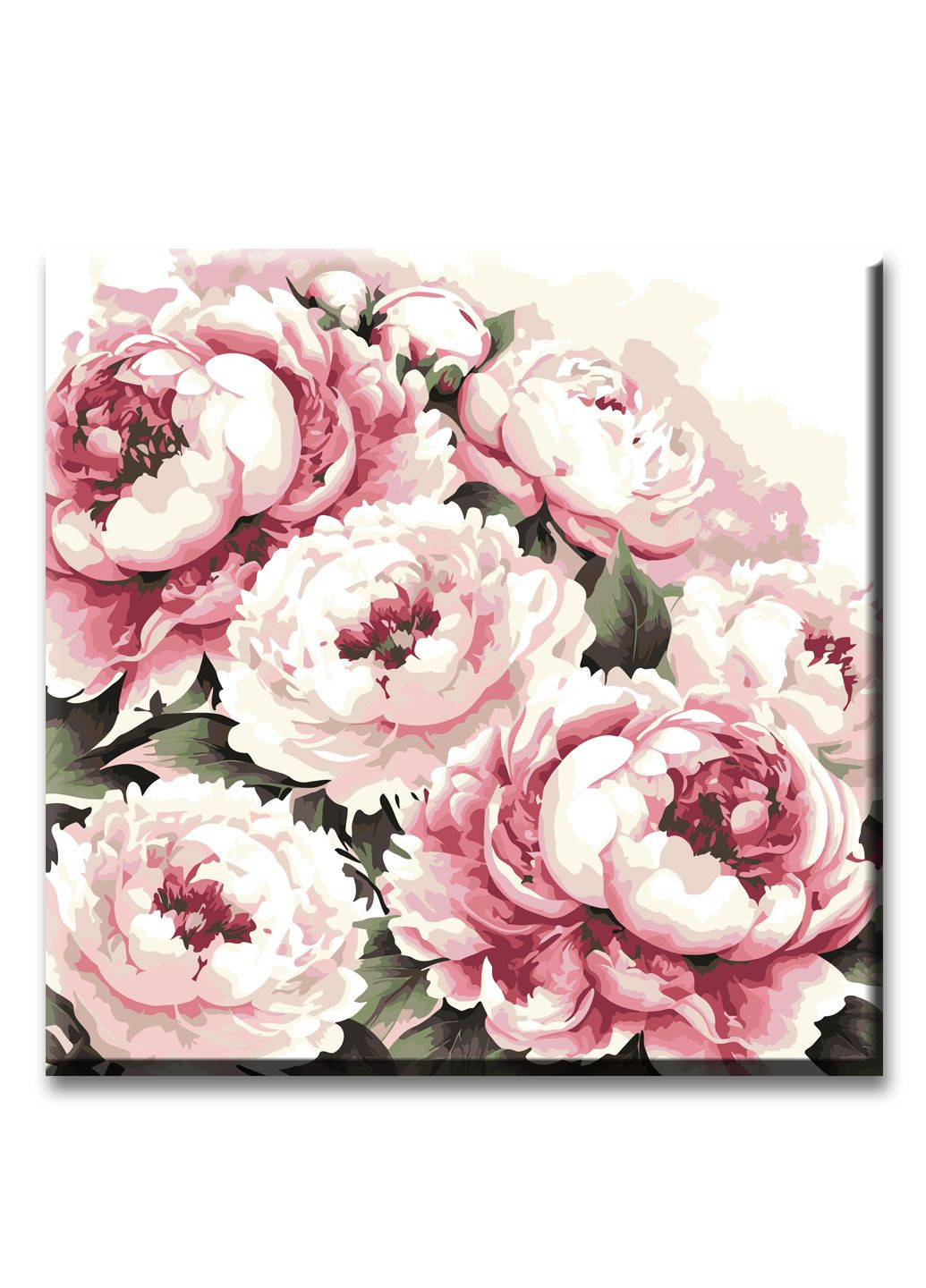 Картина за номерами 30*30 см Ніжні півонії ArtStory (299338662)