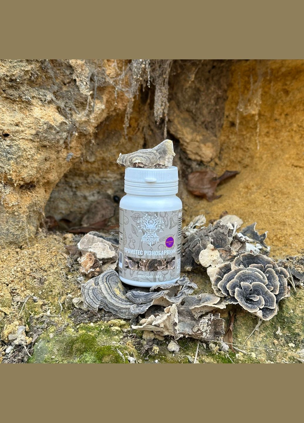 Траметес разноцветный, экстракт 10:1, молотый 50 г Лісовик (334292835)