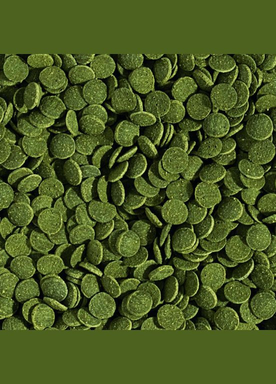 DAJANA SPIRULINA WAFERS Спец.Корм для донних травоїдних риб в таблетках/чіпсах 250 мл/100 г DP060(5353) Dajana Pet (295932069)