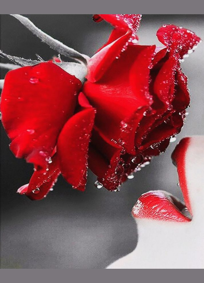 Алмазна мозаїка Чарівний діамант (333710903)