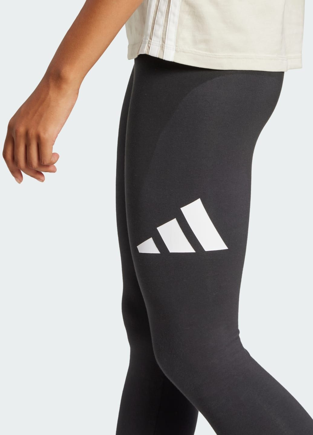 Легінси Essentials Big Logo Cotton adidas (321669672)