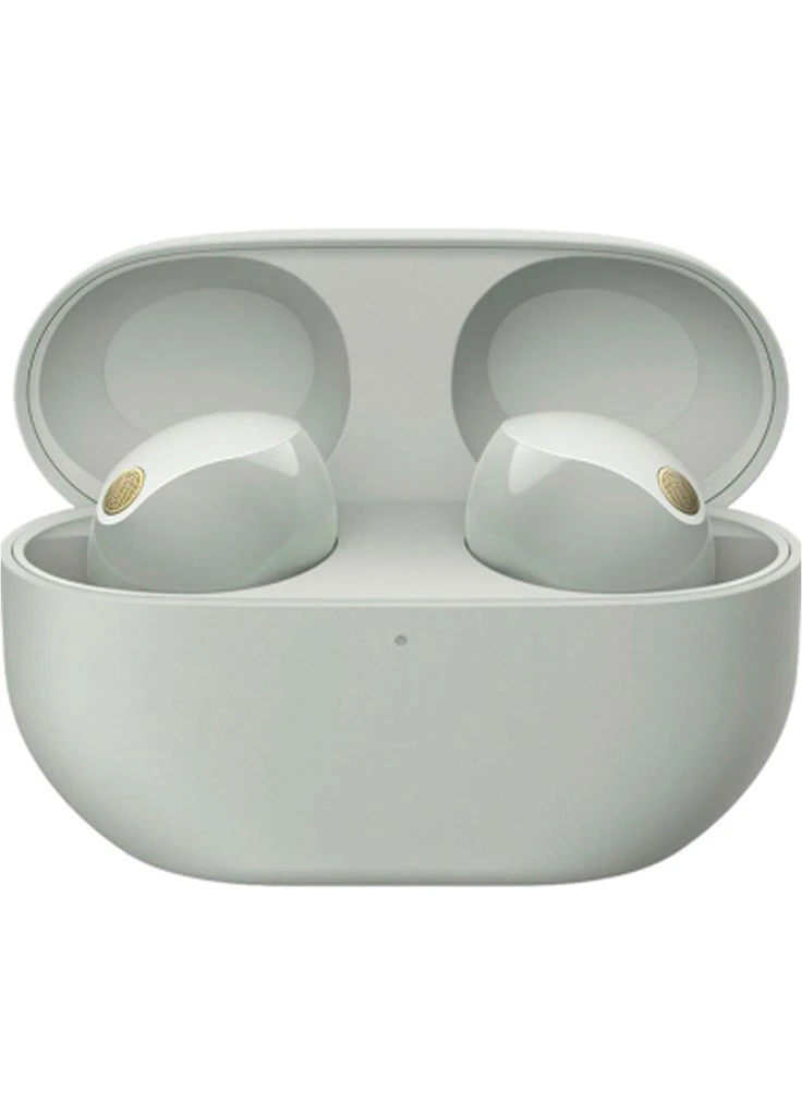 Навушники WF-1000XM5 Silver (WF1000XM5S.CE7) [91573] Sony (400890049)