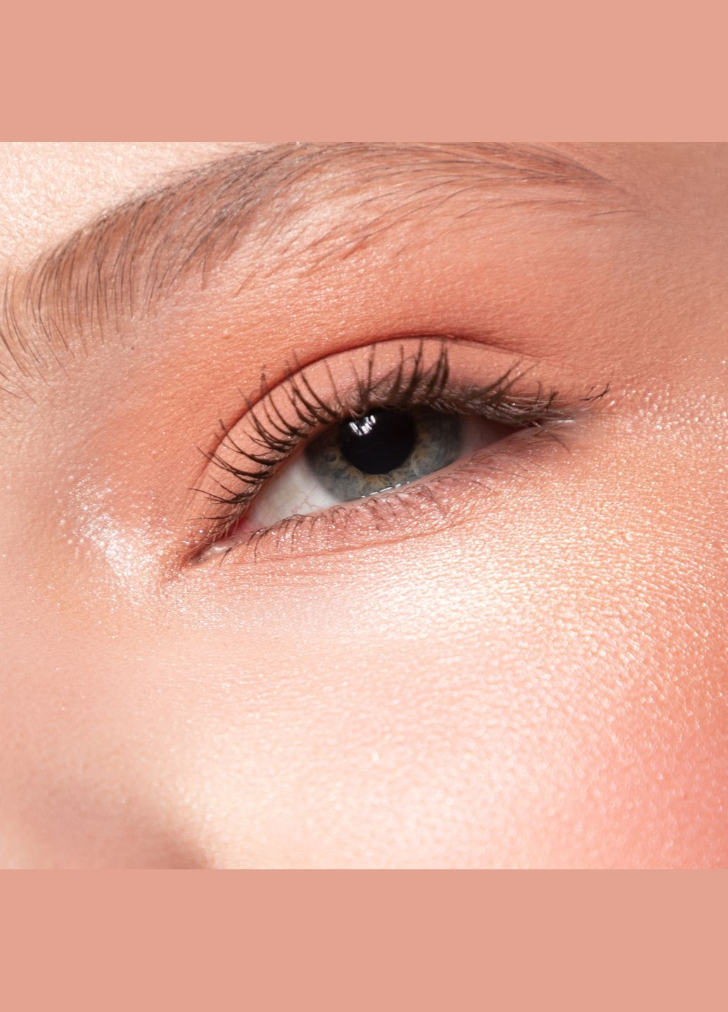 Тіні Basic 017 - Блідо-лососевий, 2г PROVG (302227789)