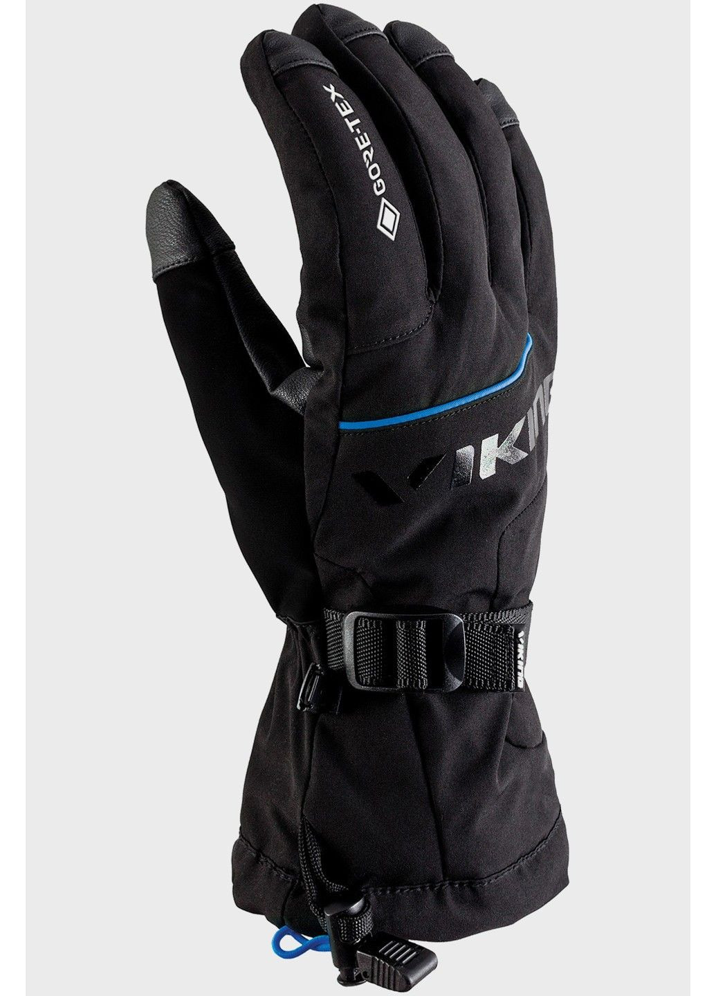 Перчатки горнолыжные Hudson GORE-TEX мужские черно-синие - 160/22/8282-15 Viking (358497715)