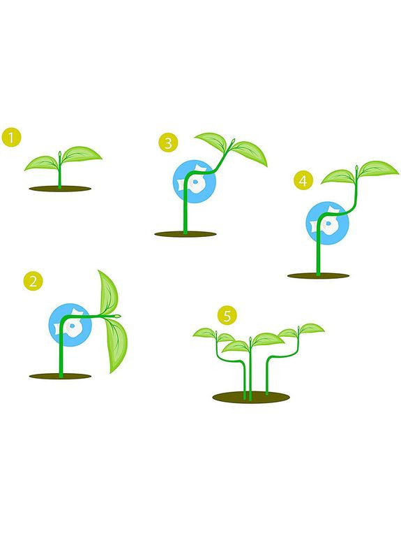 Зажим клипса QS20227 для веток растений набор 10 шт. на 360 ° пряжка для роста растений Degree Plant 18 шт. Lesko (352012784)