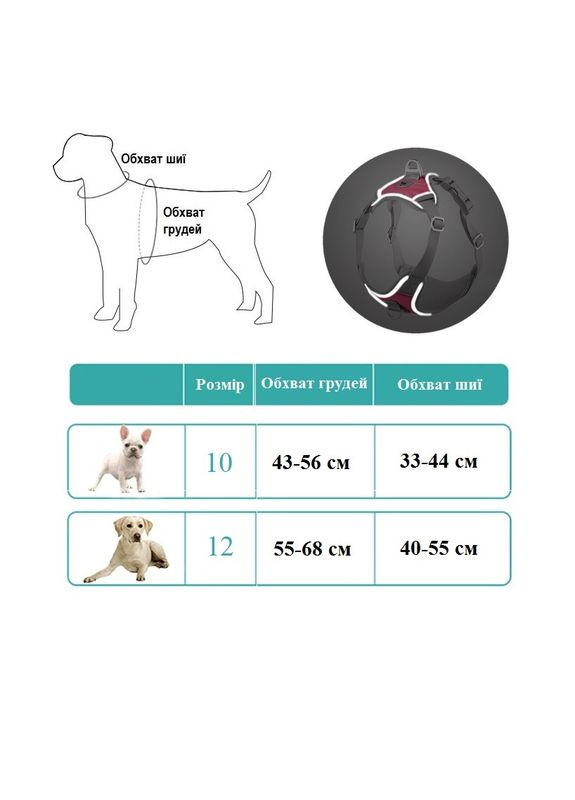 Шлея для собак Bororo Комфорт и контроль во время каждой прогулки No Brand (362571930)