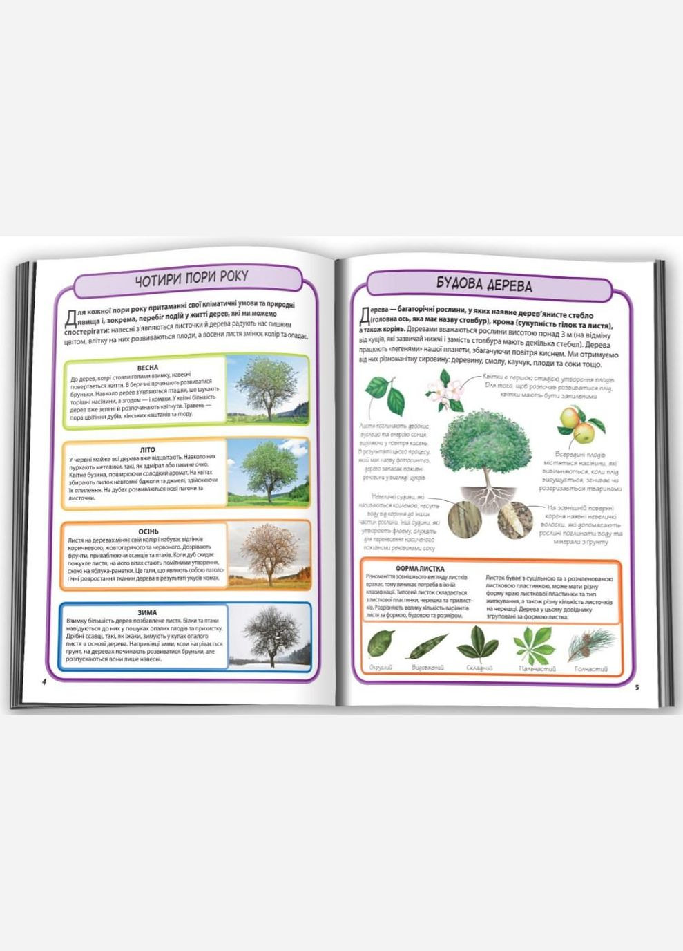 Дерева. Мініенциклопедія КМ-Букс (316081718)