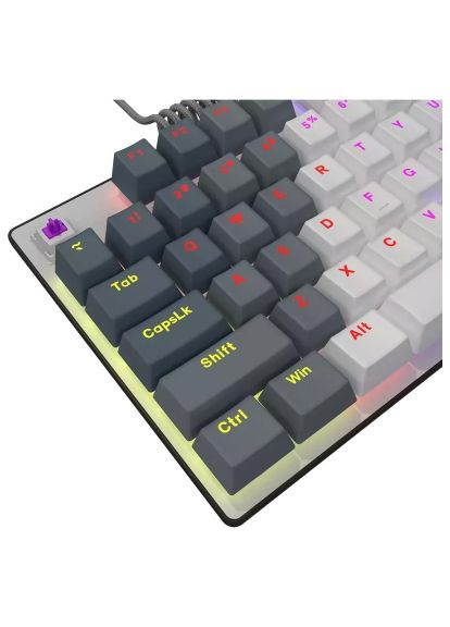 Клавиатура Azar 514TKL RGB Mechanical USB UA White/Grey (LRG-GK514TKL-WH-UA) LORGAR Azar 514TKL RGB Mechanical USB UA White/Grey (358067280)