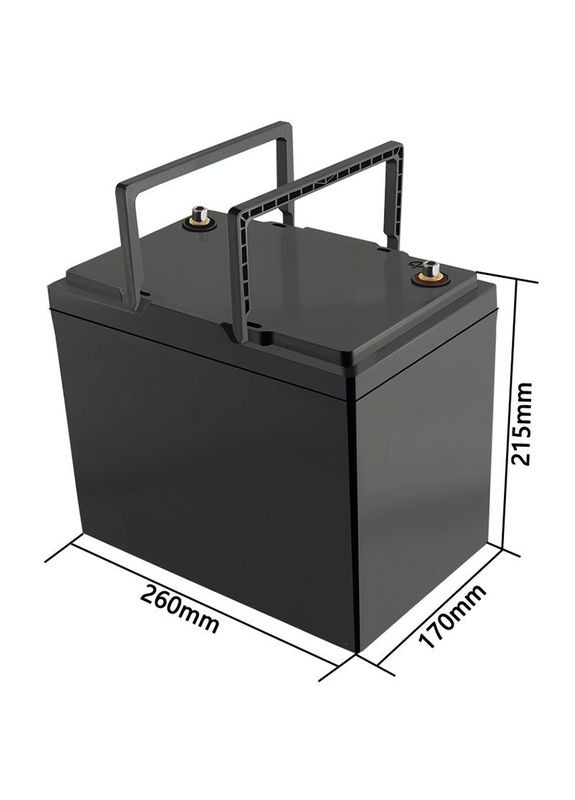 Аккумуляторная батарея LiFePO4 12V100Ah LiitoKala (315434283)