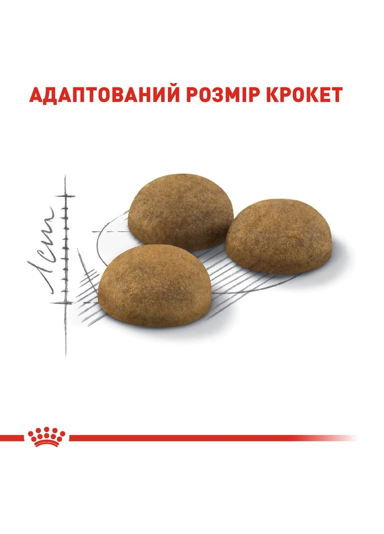 Сухий корм для домашніх кішок Indoor LongHair 2 кг (3182550739382) (25490209) Royal Canin (364787797)