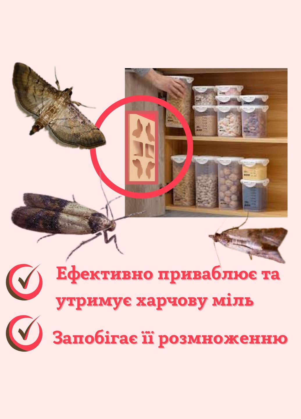 Ловушки для пищевой моли на липучке Bosque Verde 2 шт. Deliplus (322720415)