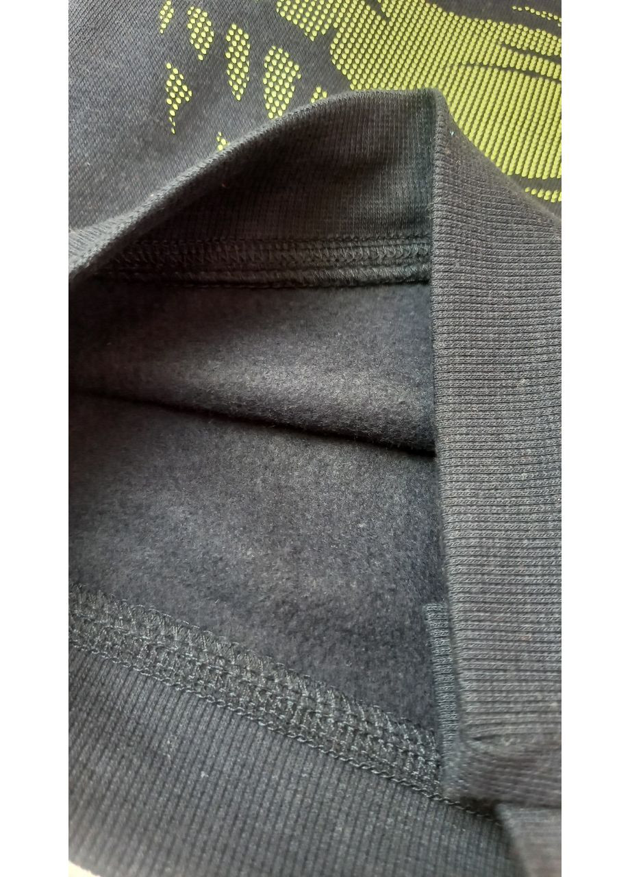 Кофта свитшот 98 см Primark (368152342)